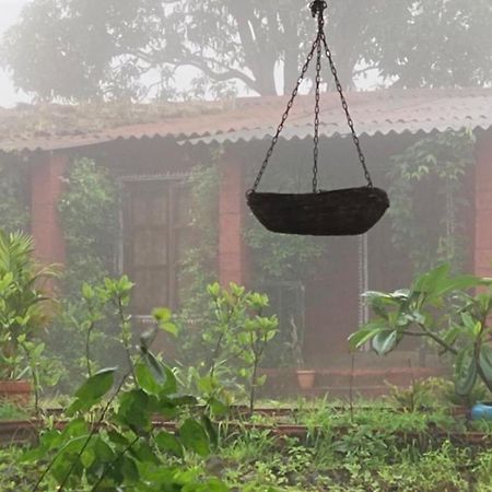 Siddhadham - Farm Stay & Wellness Retreat ناسيك المظهر الخارجي الصورة